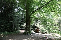 VBS_1527 - Castello di Miradolo - Mostra Oltre il giardino l'Abbecedario di paolo Pejrone